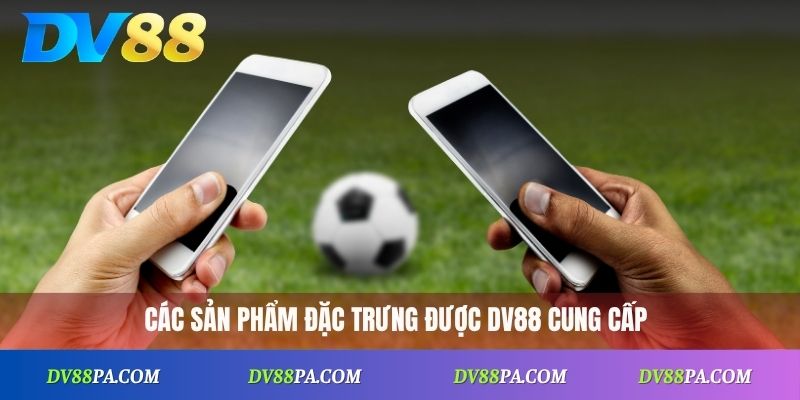 DV88 16 Các sản phẩm đặc trưng được DV88 cung cấp